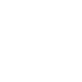salad white salad white